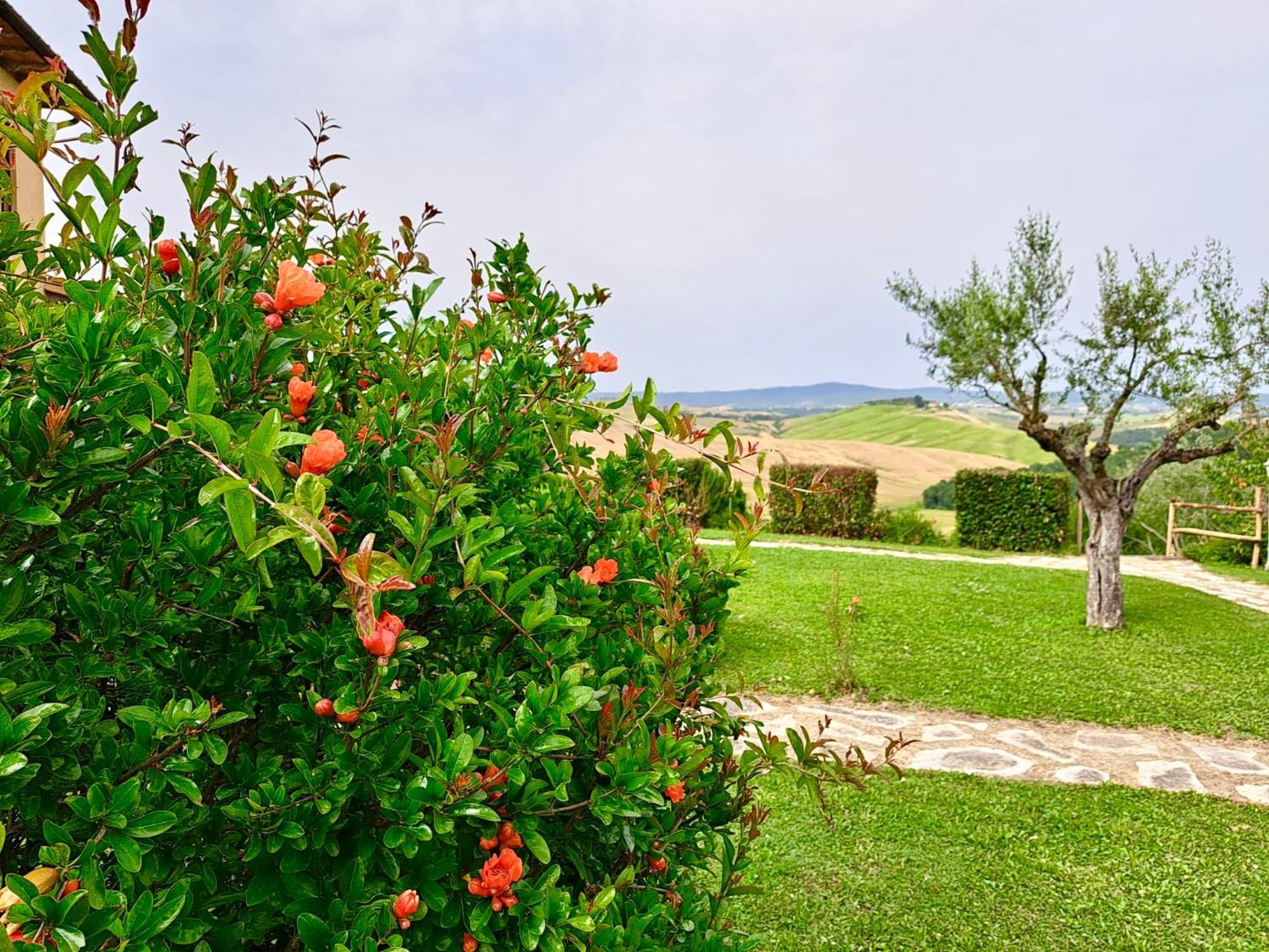 Agriturismo Caliano أسكيانو المظهر الخارجي الصورة