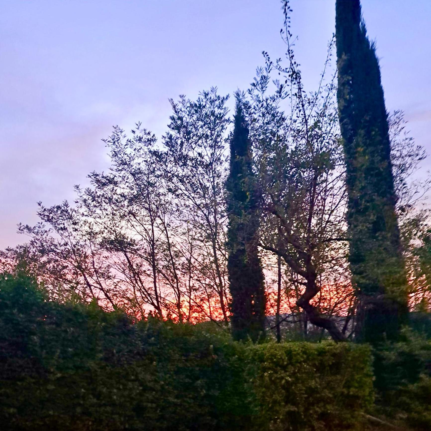 Agriturismo Caliano أسكيانو المظهر الخارجي الصورة